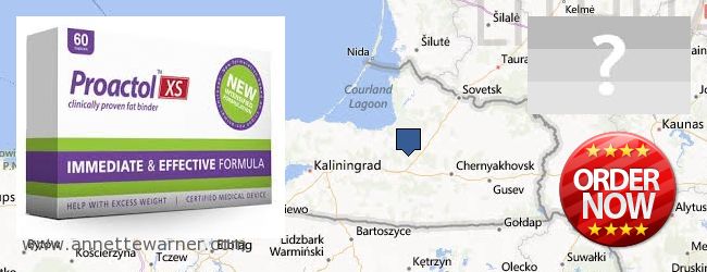 Where to Purchase Proactol XS online Kaliningradskaya oblast, Russia