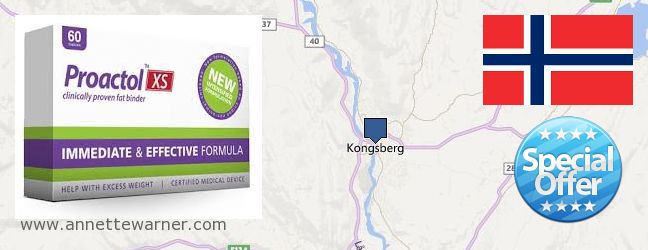 Where to Buy Proactol XS online Kongsberg, Norway