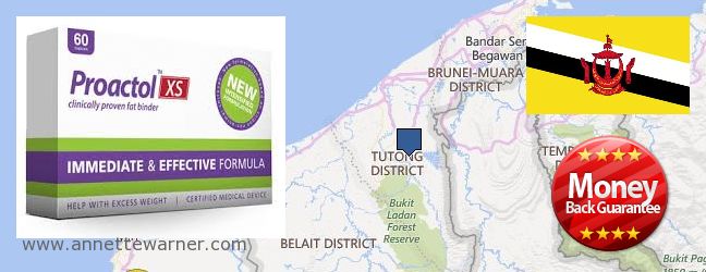 Where to Purchase Proactol XS online Tutong, Brunei