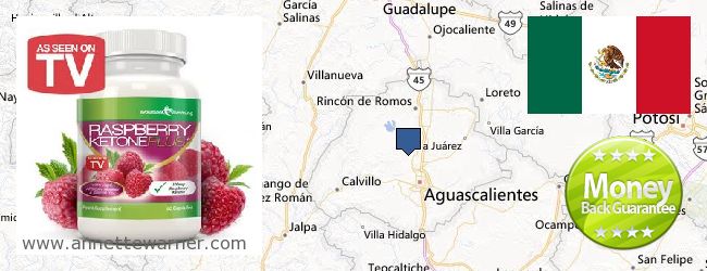 Where to Purchase Raspberry Ketones online Aguascalientes, Mexico
