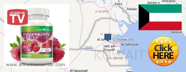 Buy Raspberry Ketones online Ar Rumaythiyah, Kuwait