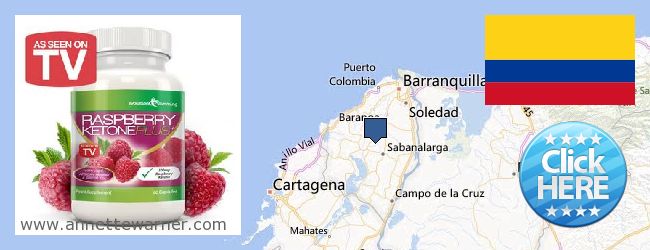Where Can I Buy Raspberry Ketones online Atlántico, Colombia