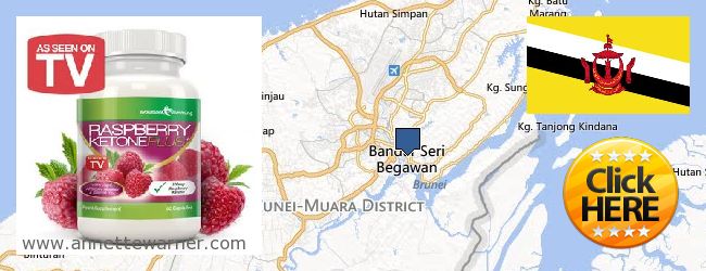 Where to Purchase Raspberry Ketones online Bandar Seri Begawan, Brunei