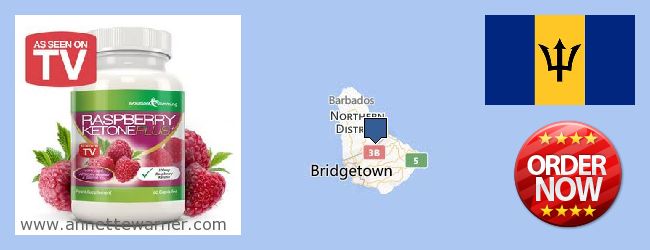 Purchase Raspberry Ketones online Barbados