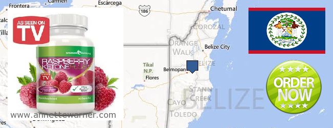 Buy Raspberry Ketones online Belize