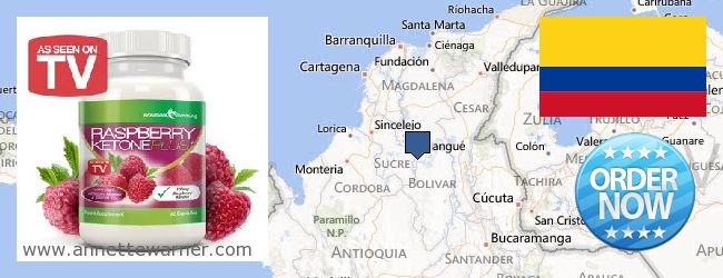 Where to Purchase Raspberry Ketones online Bolívar, Colombia
