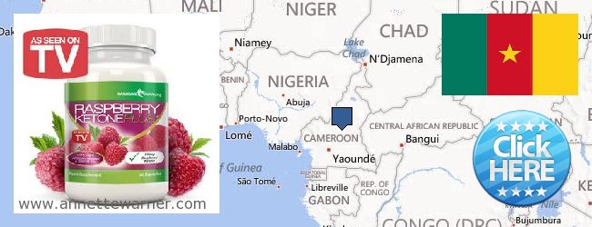 Where Can I Buy Raspberry Ketones online Cameroon