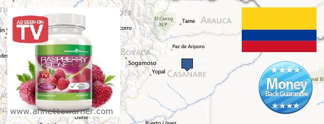 Best Place to Buy Raspberry Ketones online Casanare, Colombia
