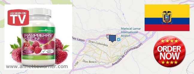Buy Raspberry Ketones online Cuenca, Ecuador