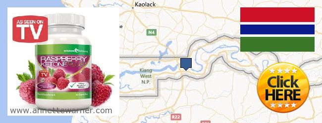 Purchase Raspberry Ketones online Gambia