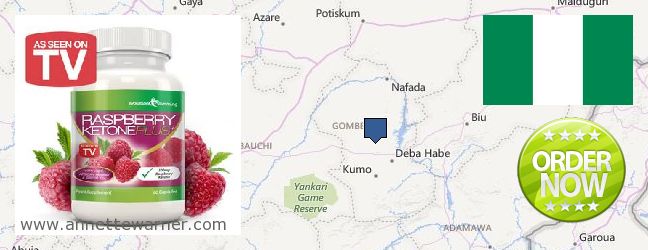Purchase Raspberry Ketones online Gombe, Nigeria
