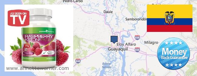 Where to Buy Raspberry Ketones online Guayaquil, Ecuador