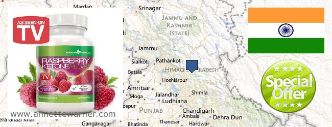 Where to Buy Raspberry Ketones online Himāchal Pradesh HIM, India