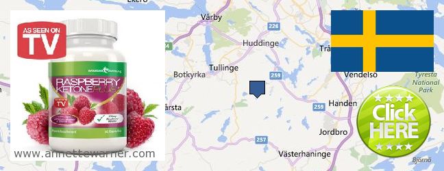Best Place to Buy Raspberry Ketones online Huddinge, Sweden