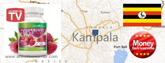 Purchase Raspberry Ketones online Kampala, Uganda