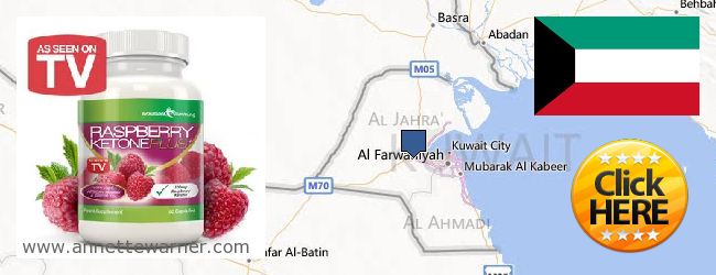 Best Place to Buy Raspberry Ketones online Kuwait