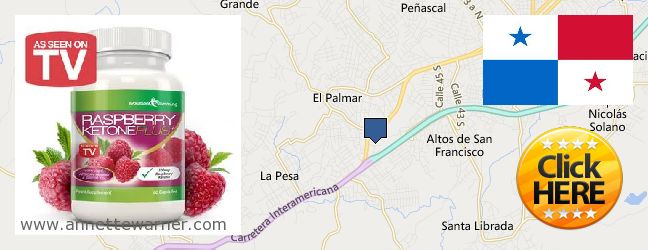 Where to Purchase Raspberry Ketones online La Chorrera, Panama