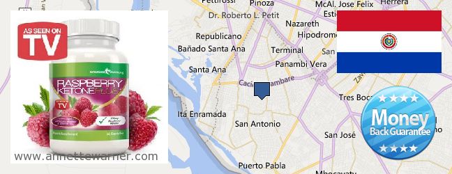 Where to Purchase Raspberry Ketones online Lambare, Paraguay
