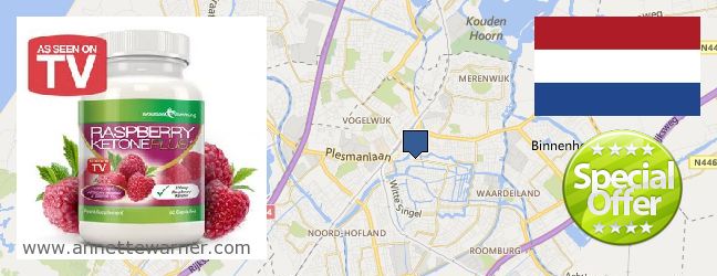 Where Can I Buy Raspberry Ketones online Leiden, Netherlands