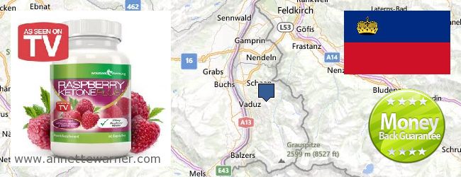 Buy Raspberry Ketones online Liechtenstein