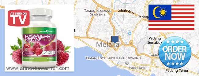 Where Can I Purchase Raspberry Ketones online Melaka (Malacca), Malaysia