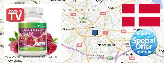 Where Can I Purchase Raspberry Ketones online Odense, Denmark