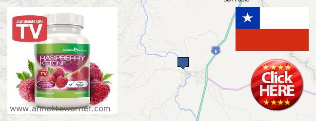Where to Purchase Raspberry Ketones online Osorno, Chile