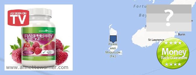 Purchase Raspberry Ketones online Saint Pierre And Miquelon