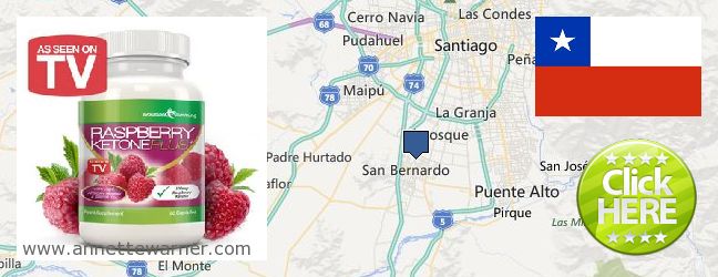 Where Can I Purchase Raspberry Ketones online San Bernardo, Chile