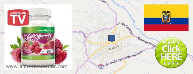 Where to Purchase Raspberry Ketones online Santo Domingo de los Colorados, Ecuador