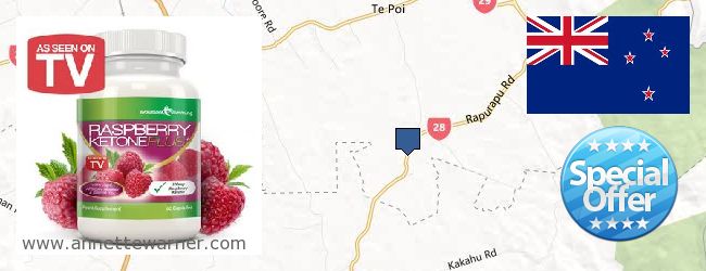 Purchase Raspberry Ketones online Selwyn, New Zealand