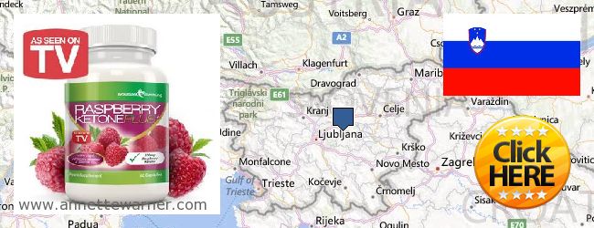 Where to Purchase Raspberry Ketones online Slovenia