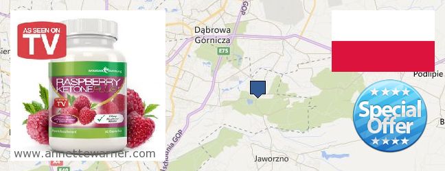 Where to Buy Raspberry Ketones online Sosnowiec, Poland