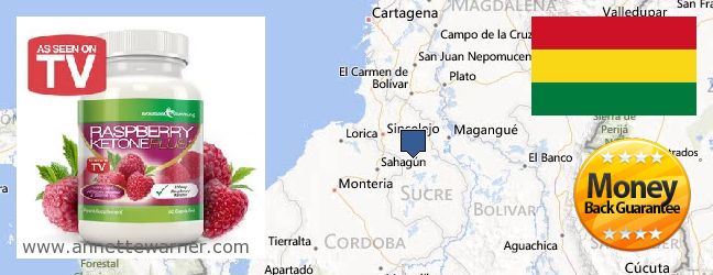 Where Can You Buy Raspberry Ketones online Sucre, Bolivia