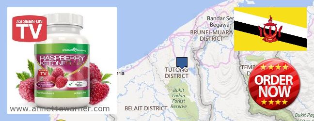 Where to Purchase Raspberry Ketones online Tutong, Brunei