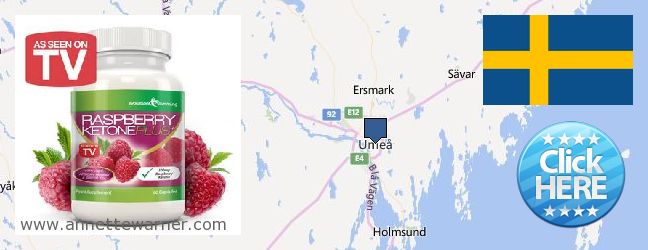 Where to Purchase Raspberry Ketones online Umea, Sweden