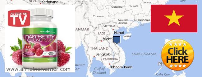 Buy Raspberry Ketones online Vietnam