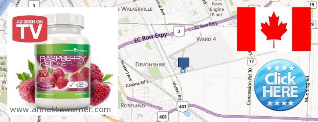 Purchase Raspberry Ketones online Windsor ONT, Canada