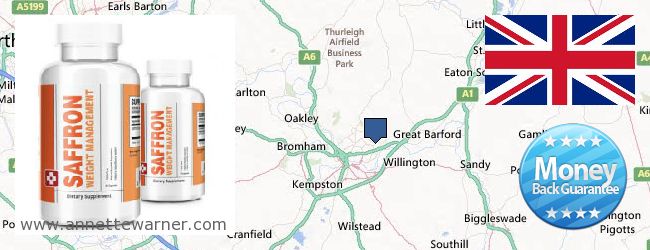 Purchase Saffron Extract online Bedford, United Kingdom