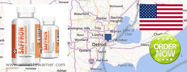 Where to Buy Saffron Extract online Detroit MI, United States