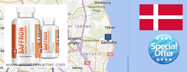 Where Can I Buy Saffron Extract online Gentofte, Denmark