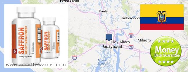 Where Can You Buy Saffron Extract online Guayaquil, Ecuador