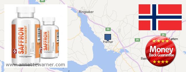 Purchase Saffron Extract online Hamar, Norway