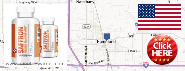 Where to Purchase Saffron Extract online Hammond LA, United States