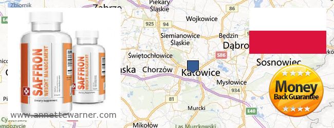 Buy Saffron Extract online Katowice, Poland