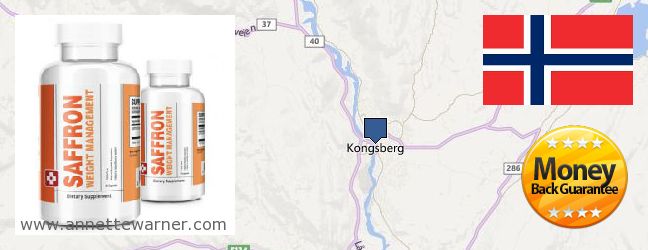 Purchase Saffron Extract online Kongsberg, Norway