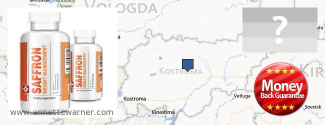 Where to Buy Saffron Extract online Kostromskaya oblast, Russia