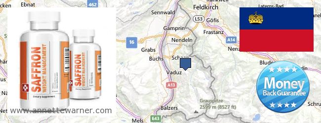 Where to Buy Saffron Extract online Liechtenstein