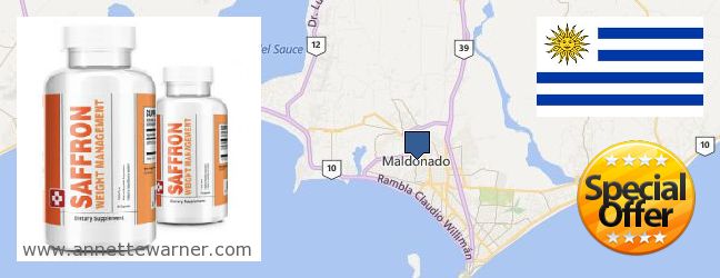 Where to Purchase Saffron Extract online Maldonado, Uruguay