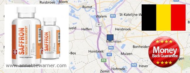 Where to Purchase Saffron Extract online Mechelen, Belgium